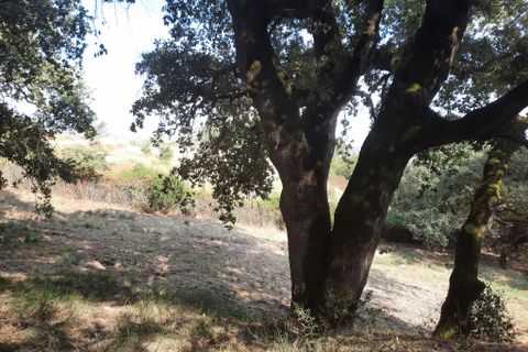Farm hus i Alenquer, Lisbon, Alenquer - € 499.000 | Ref: LOURLS720 - foto 24